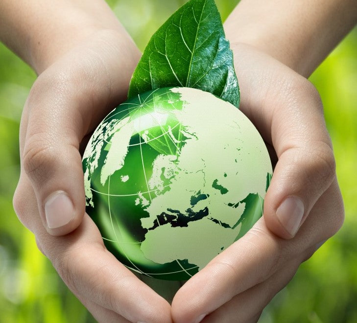 Going Green With Your Appliances