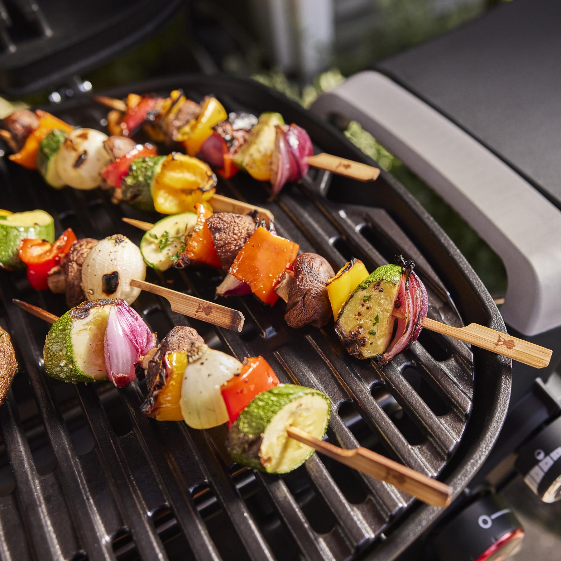 Weber 1500379 Q 2800N+ Gas Grill (Liquid Propane) - Sky Blue