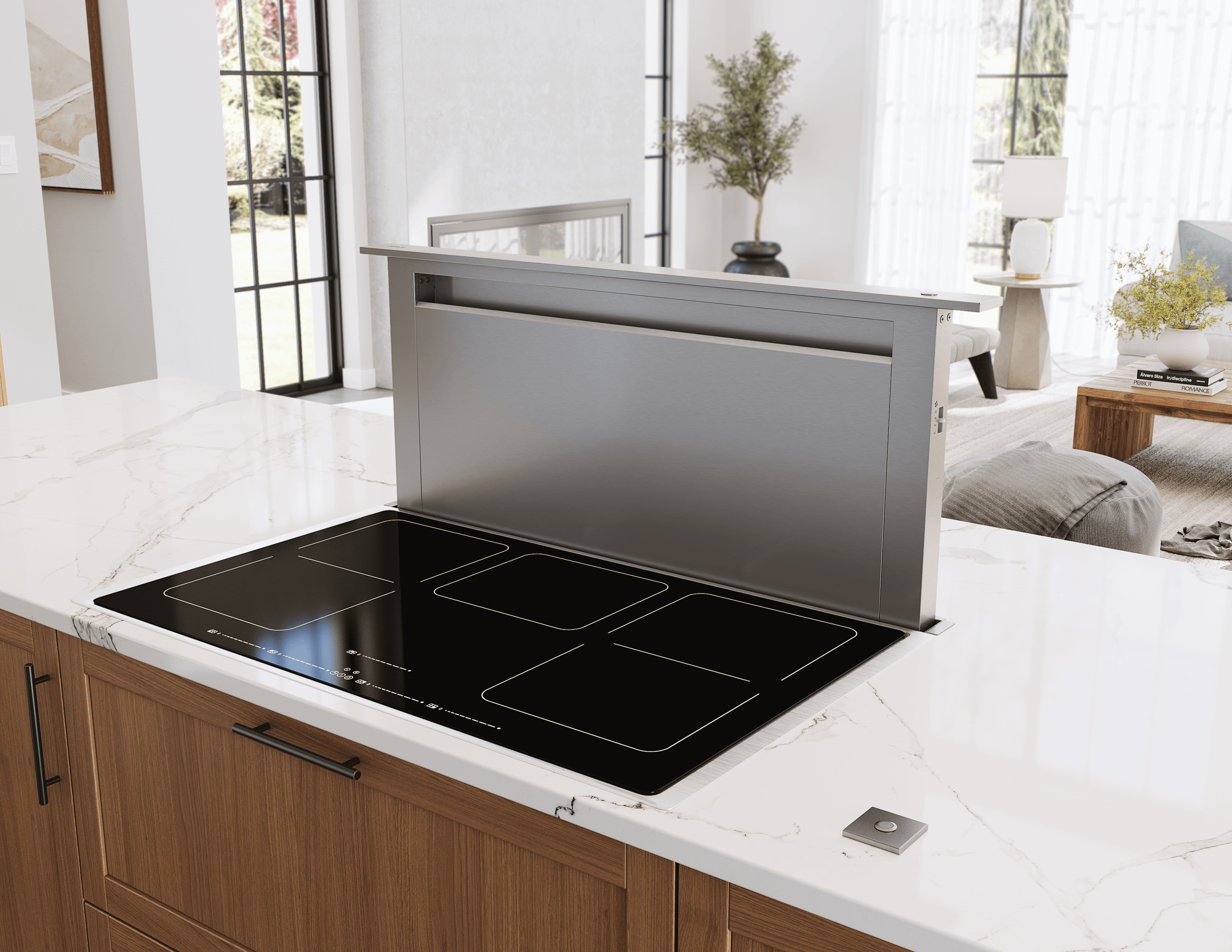 Zephyr ZTVE30AS Treviso Downdraft, 14