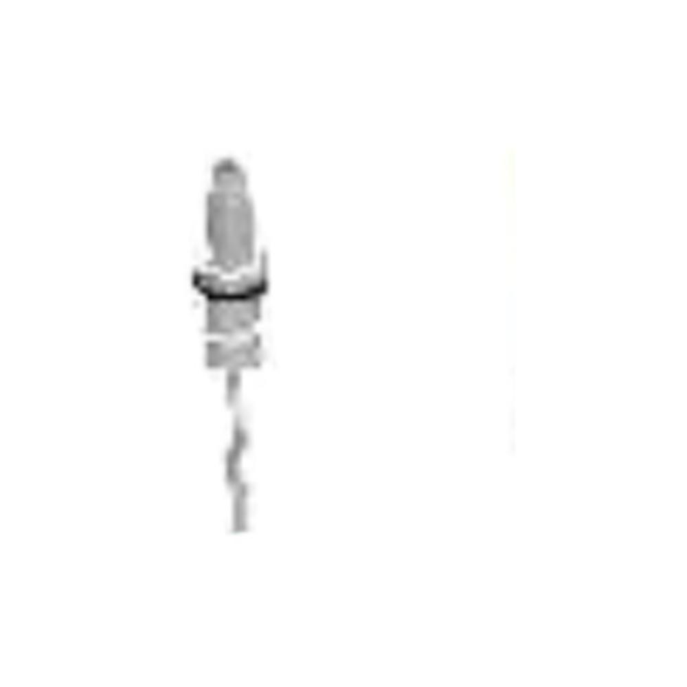Ilve A01802 Ilve Parts A/018/02 Ignition Plug 400 Mm
