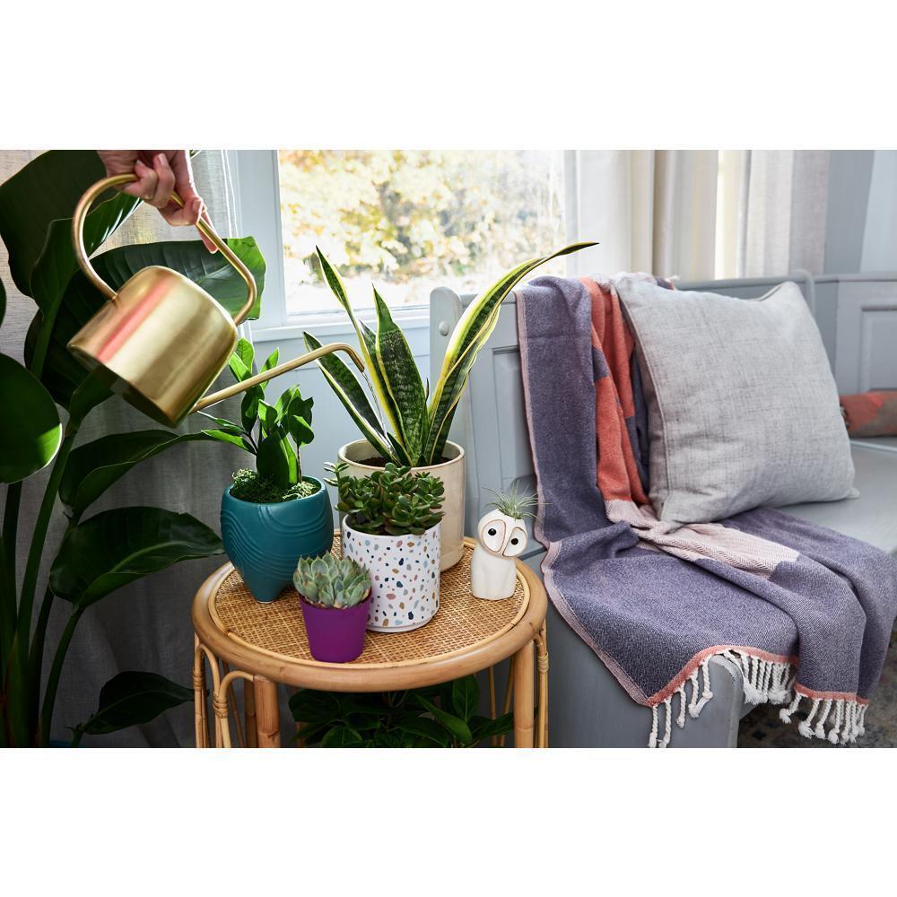Jennair EDR4RXD1 Everydrop® Refrigerator Water Filter 4 - Edr4Rxd1 (Pack Of 1)