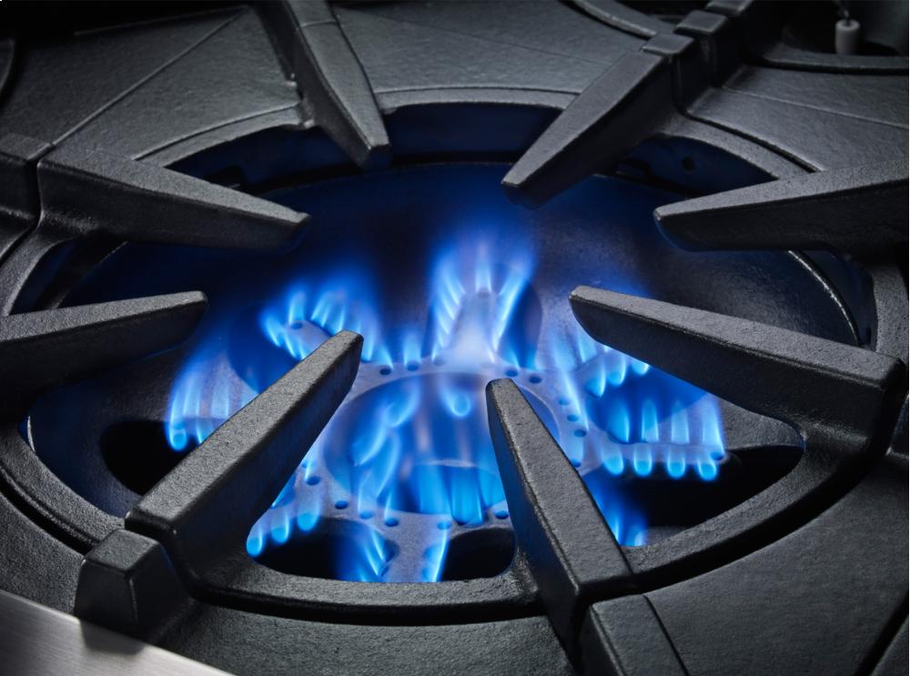 Bluestar BSPRT244B 24" Platinum Rangetop