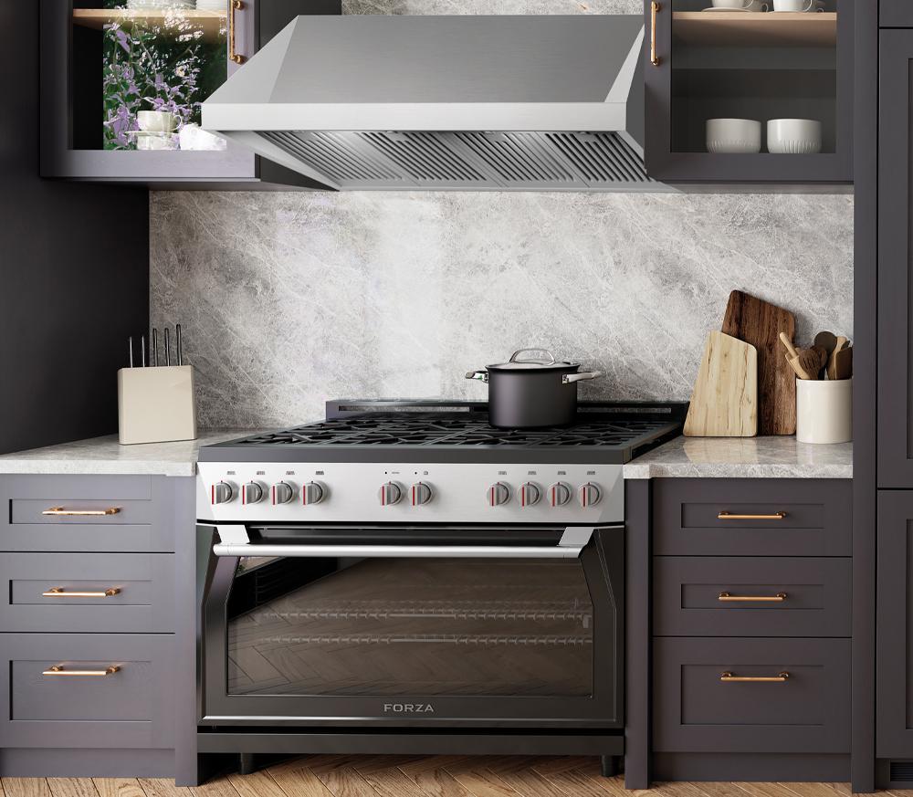 Forzacucina FH4824 48 Inch Professional Wall Mounted Range Hood, 24 Inches Tall