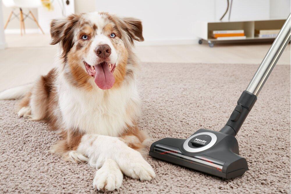 Miele STB3053 Stb 305-3 - Turboteq For Quick Removal Of Hair And Threads, Even From Delicate Rugs And Carpets.