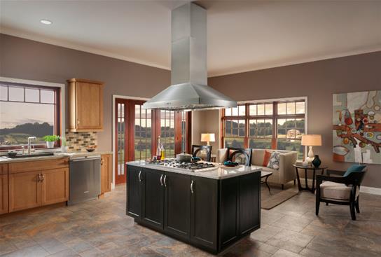 Best Range Hoods IPP9IQT42SB Ipp9 - 42