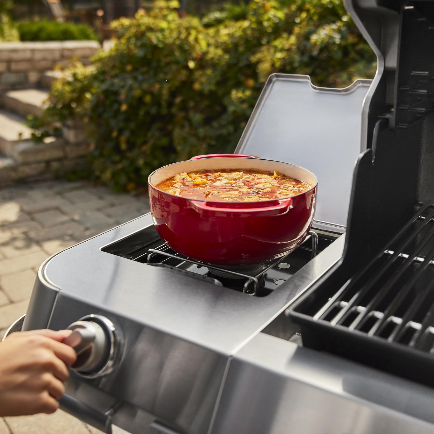 Weber 1500051 Summit® Smart Fs38X E Gas Grill (Liquid Propane) - Black