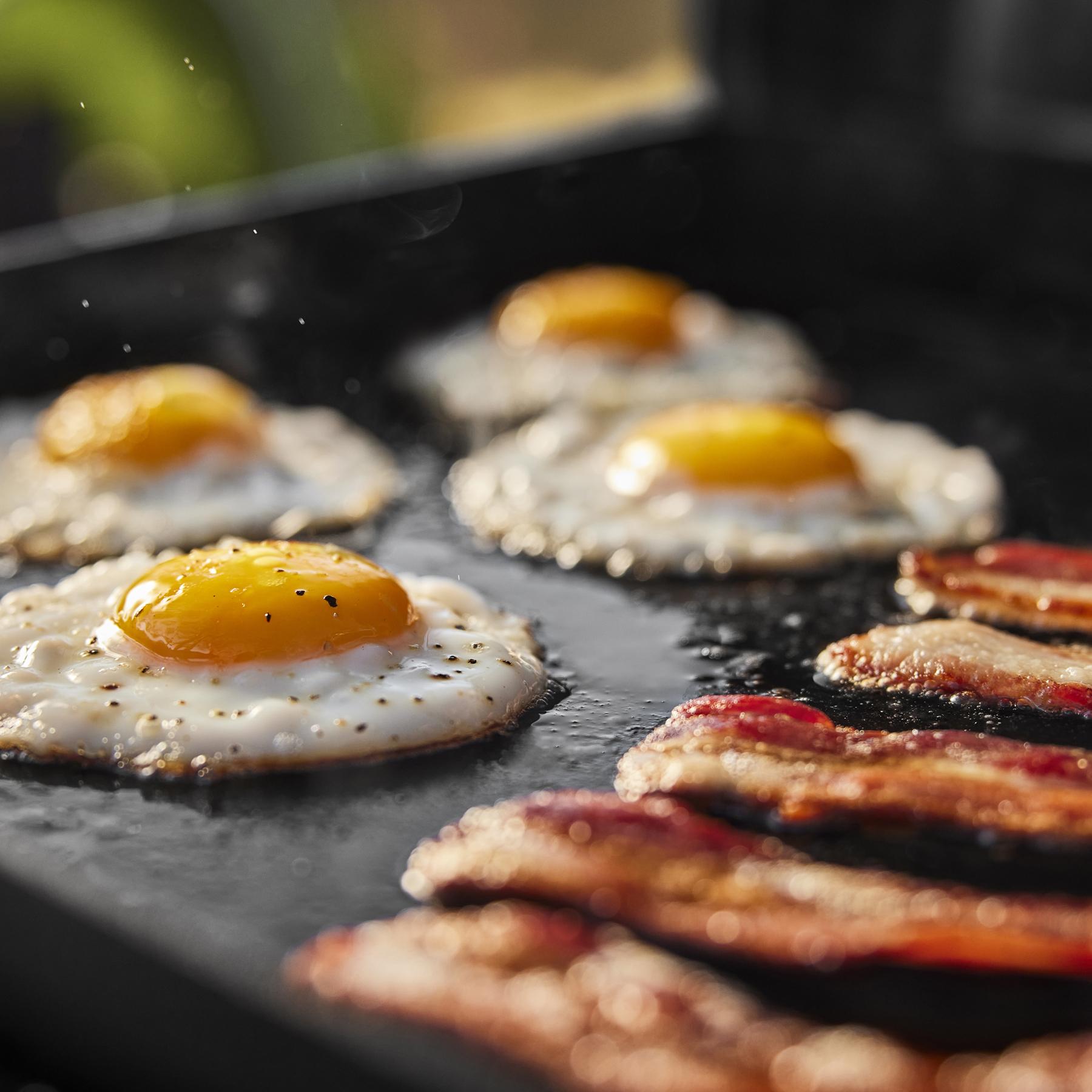 Weber 1500213 Weber Traveler® 22" Portable Griddle - Black